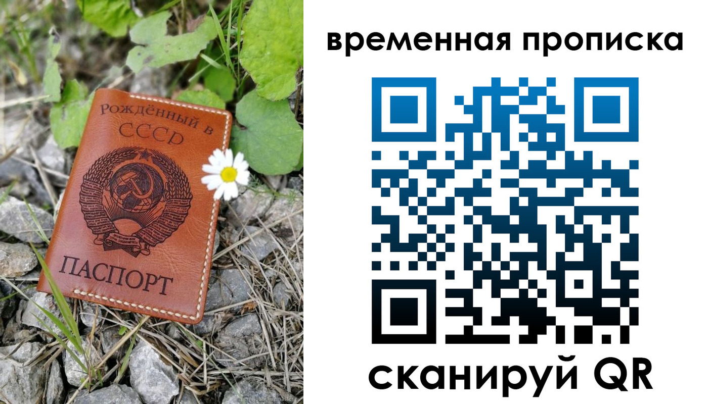 временная регистрация поиск в Райчихинске